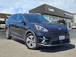  Kia Niro EV