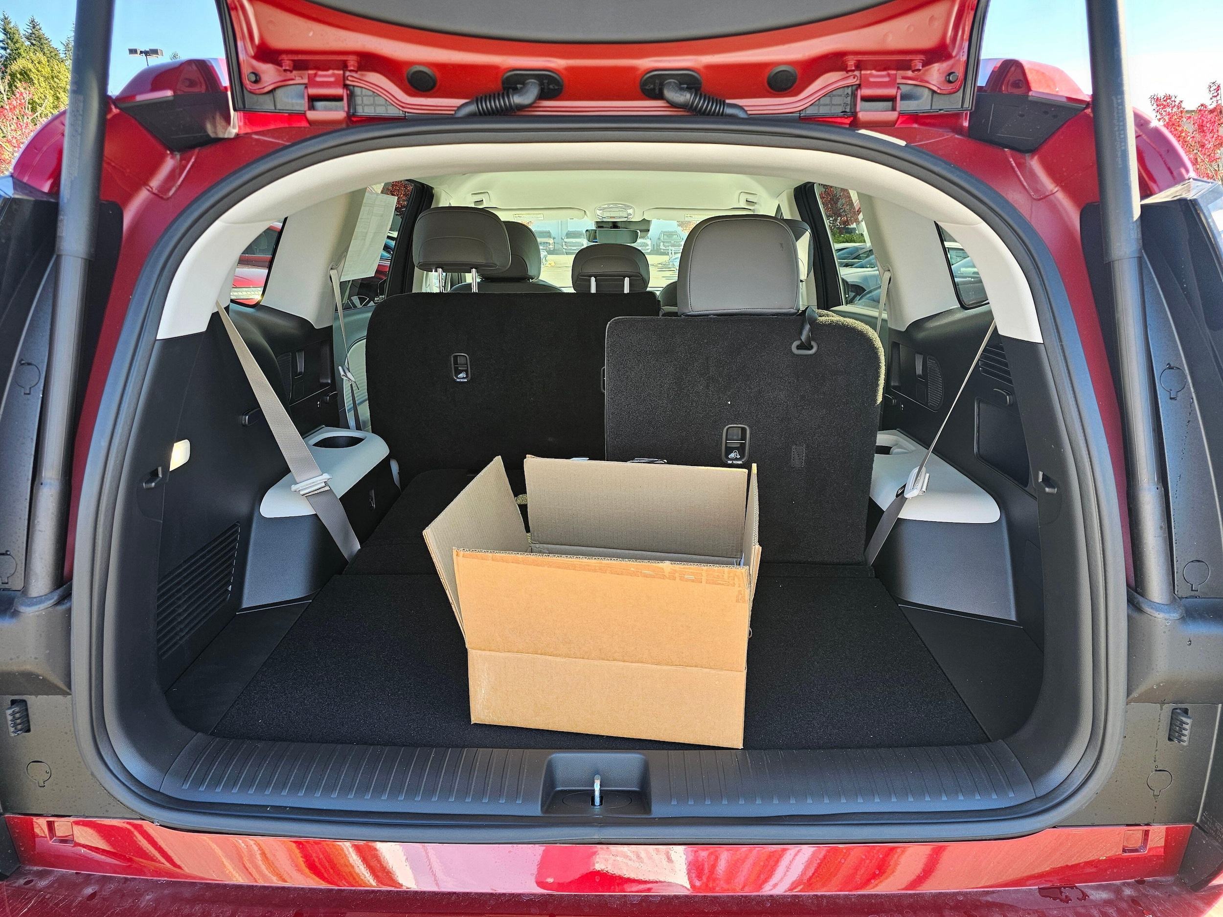 2026 Hyundai IONIQ 9 SEL - Photo 13