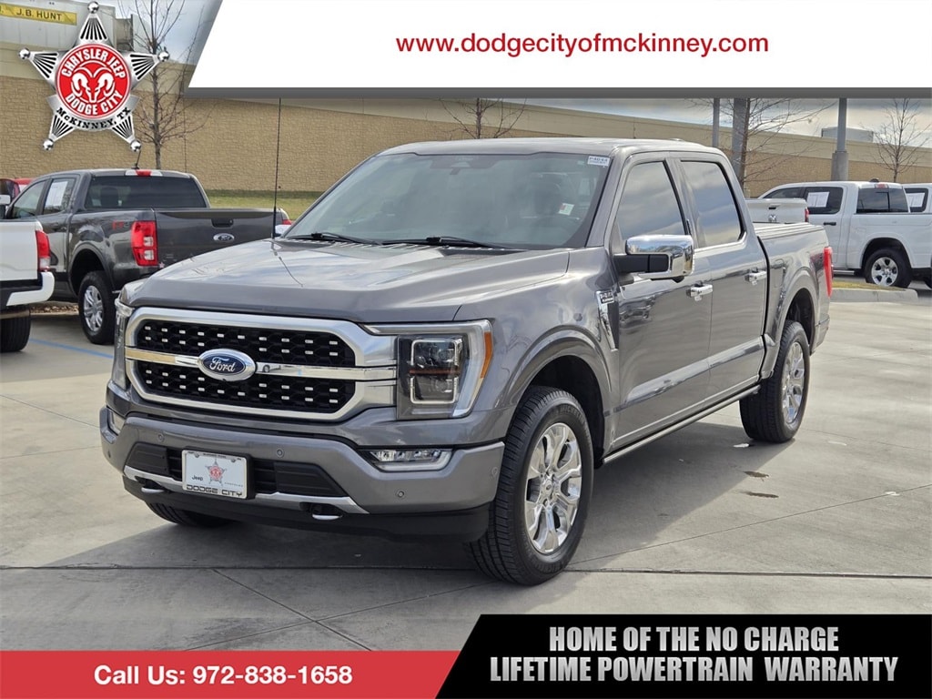 2021 Ford F-150 Platinum's photo