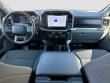 2024 Ford F-150 XLT Crew Cab Pickup