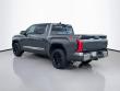 2025 Toyota Tundra 1794 Edition Crew Cab Pickup