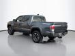 2023 Toyota Tacoma SR V6 Crew Cab Pickup