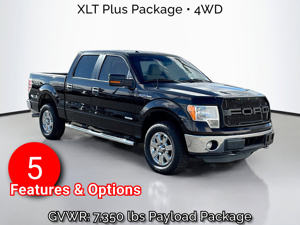 2013 Ford F-150 XL's photo