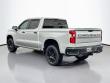 2021 Chevrolet Silverado 1500 LT Trail Boss Crew Cab Pickup