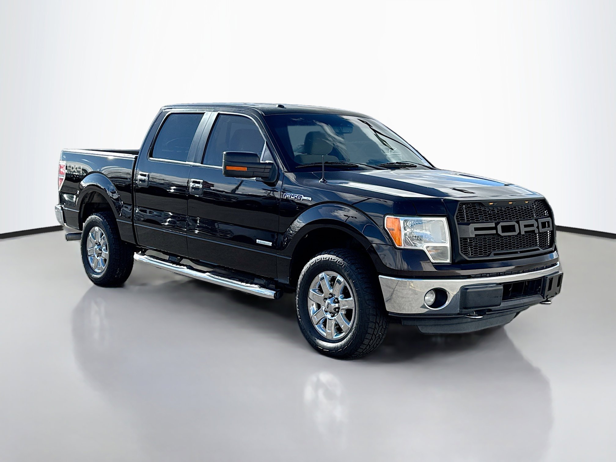 2013 Ford F-150 XL's photo