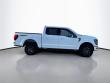 2024 Ford F-150 Tremor Crew Cab Pickup