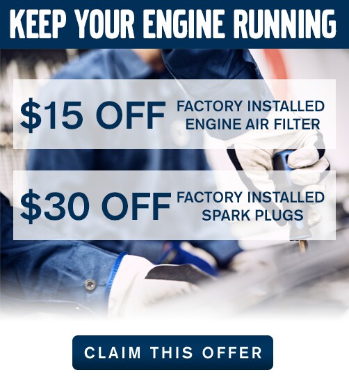 filter-and-sparkplug_special.png