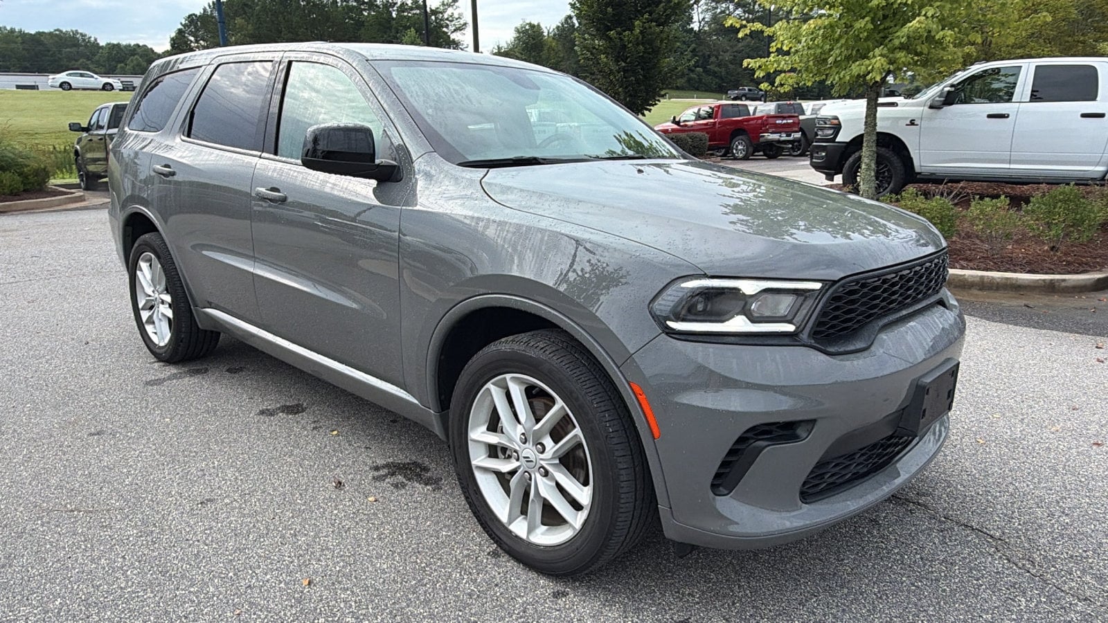 Photo 5
