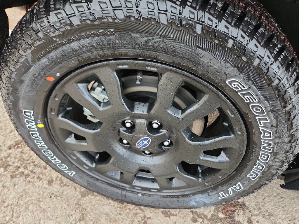 2026 Subaru Forester Wilderness - Photo 10