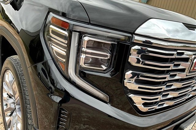 2023 Gmc Sierra 1500 Denali photo 4