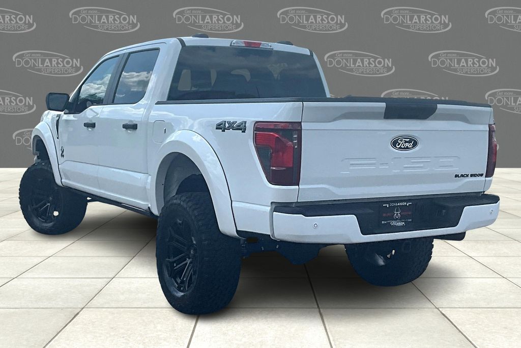 2025 Ford F-150 STX photo 3