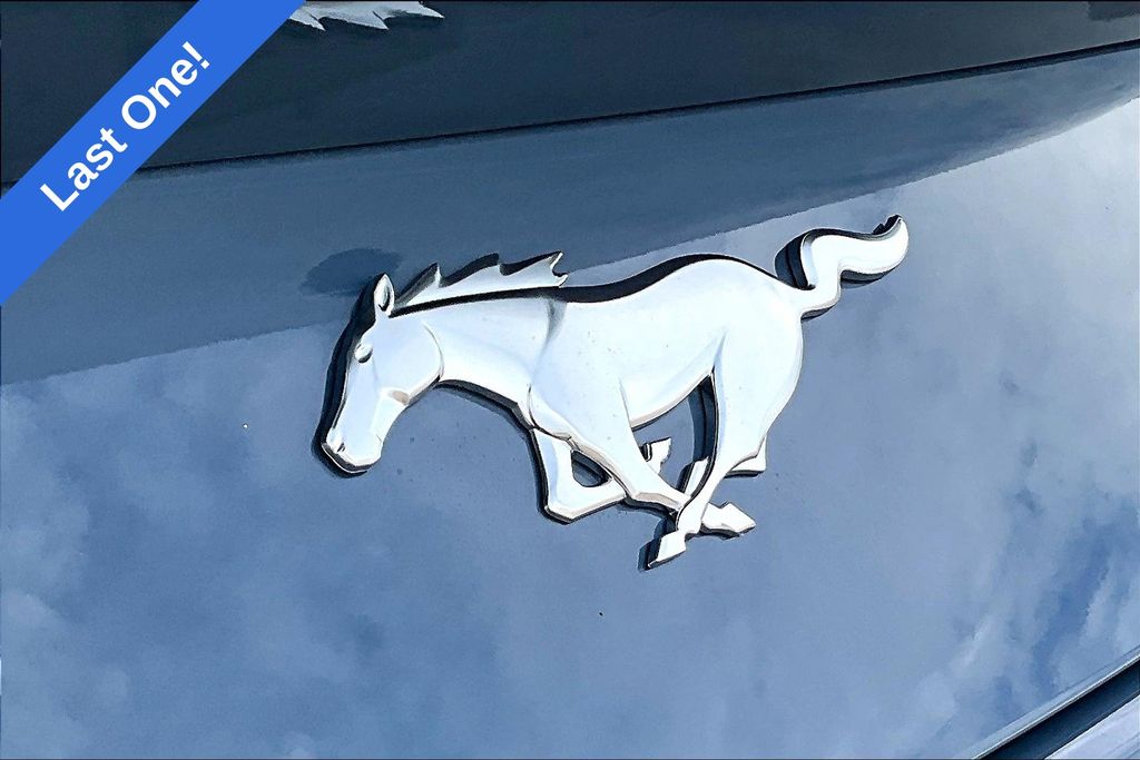 2025 Ford Mustang EcoBoost Premium Fastback - Photo 6