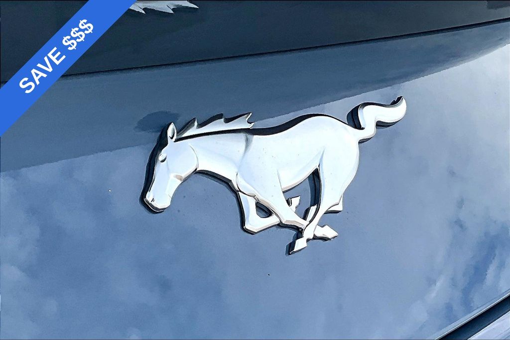 2025 Ford Mustang EcoBoost Premium Fastback - Photo 6