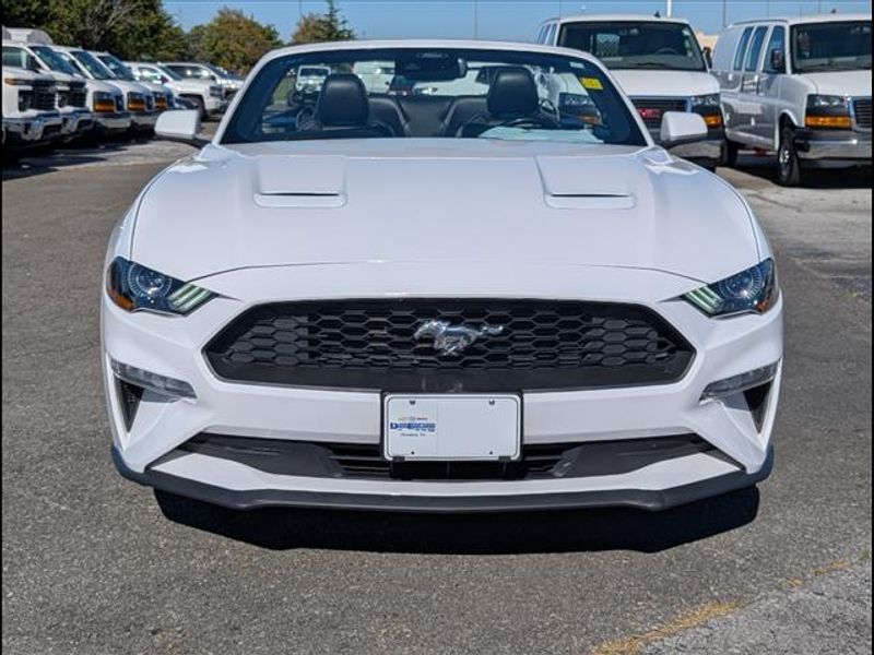 2023 Ford Mustang EcoBoost Premium photo 4