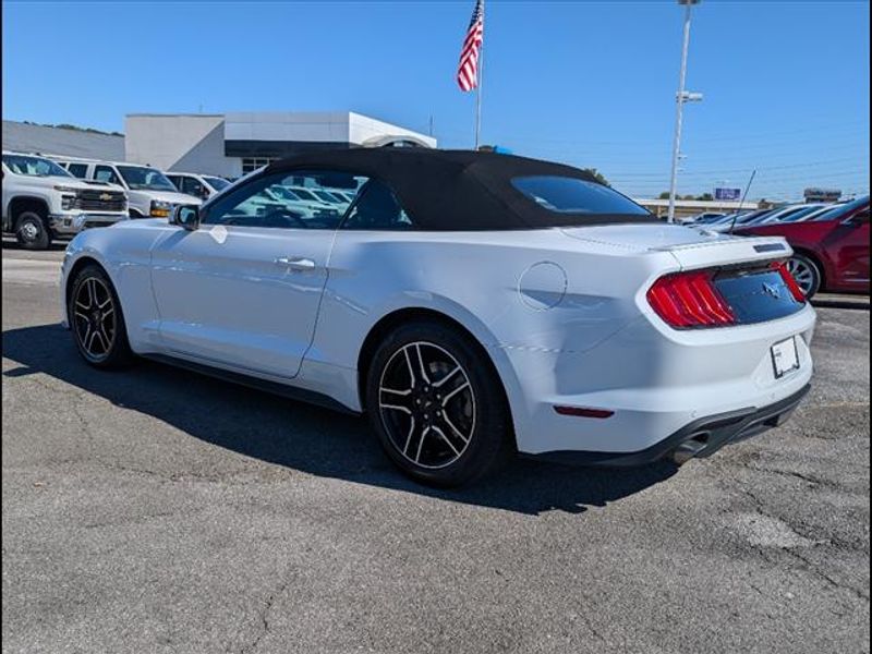 2023 Ford Mustang EcoBoost Premium photo 3