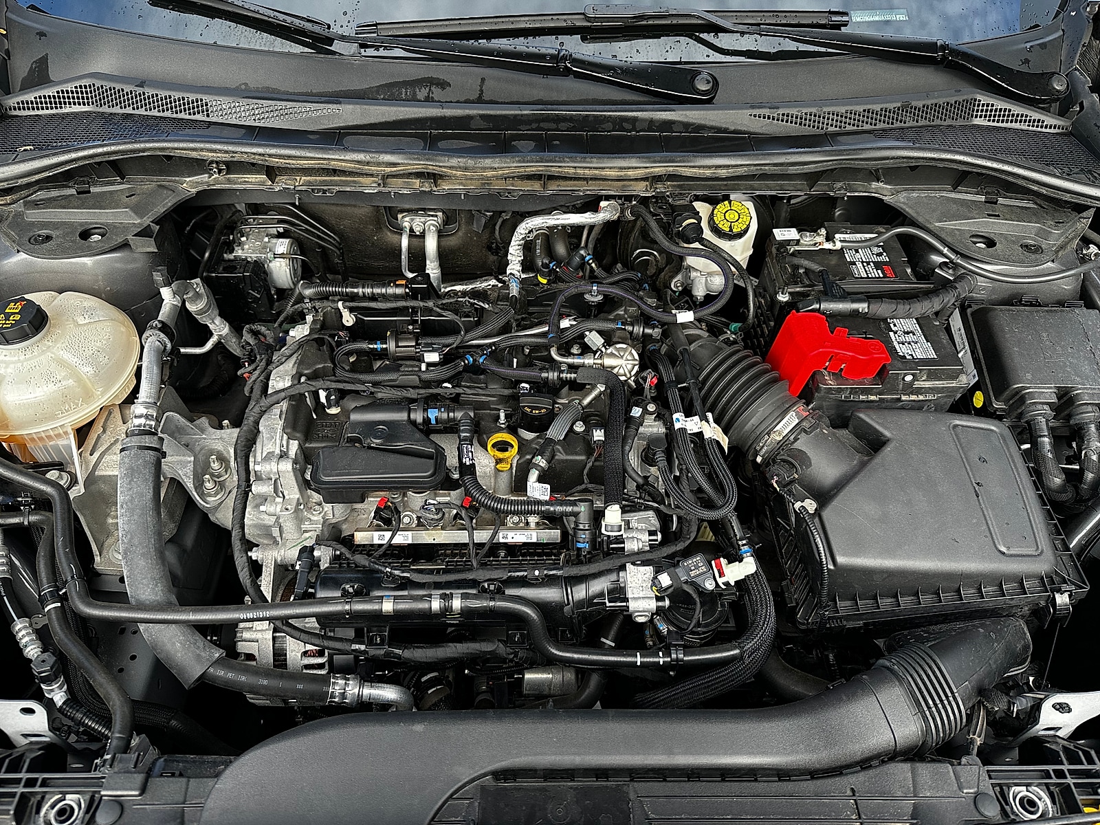 Photo 10