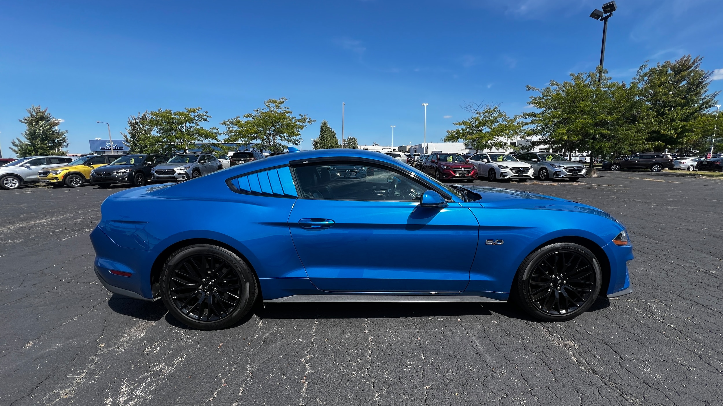 Used 2021 Ford Mustang GT Premium with VIN 1FA6P8CF0M5121467 for sale in Madison, WI