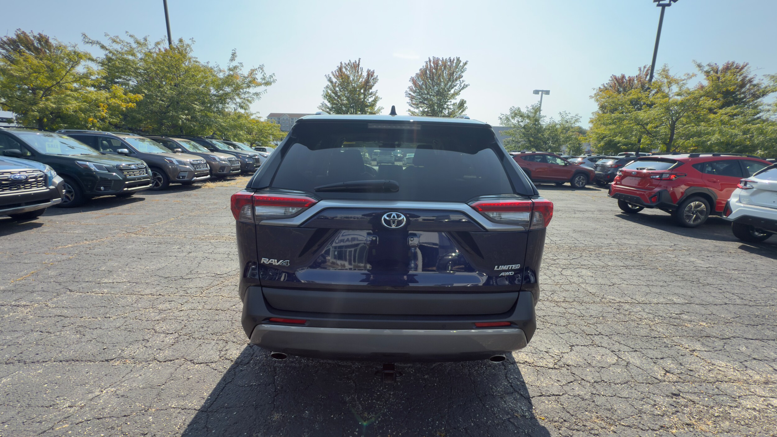 2019 Toyota RAV4 Limited photo 2