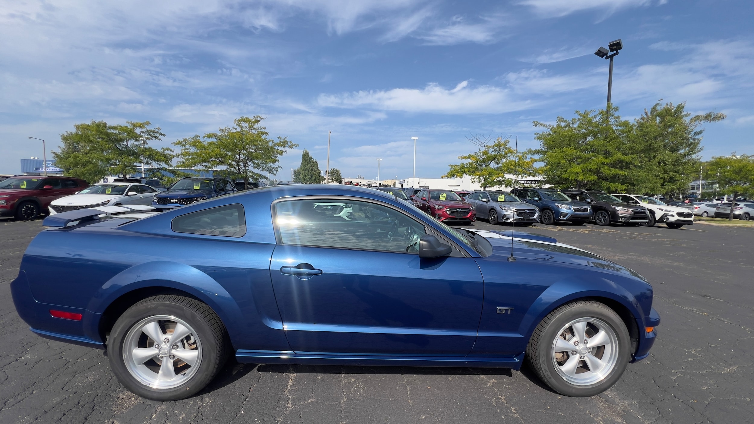 Used 2008 Ford Mustang GT Premium with VIN 1ZVHT82H085131484 for sale in Madison, WI