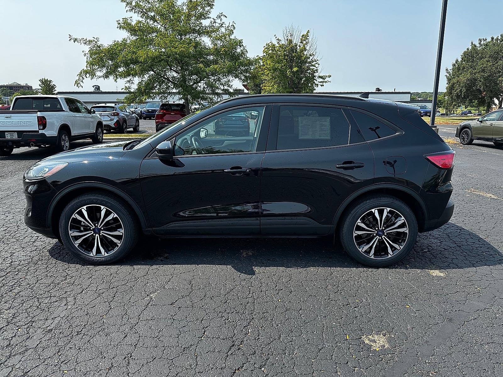 Photo 6
