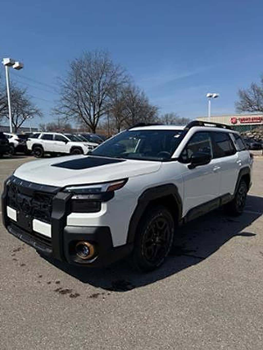 New 2026 Subaru Outback Wilderness SUV
