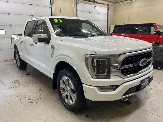 2021 Ford F-150 Platinum photo 3