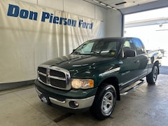 2002 Dodge Ram 1500 Truck