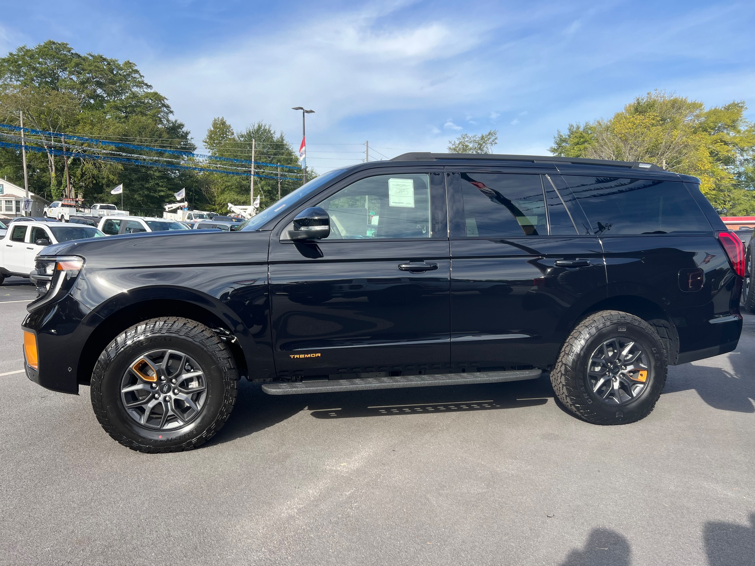 2025 Ford Expedition photo 2