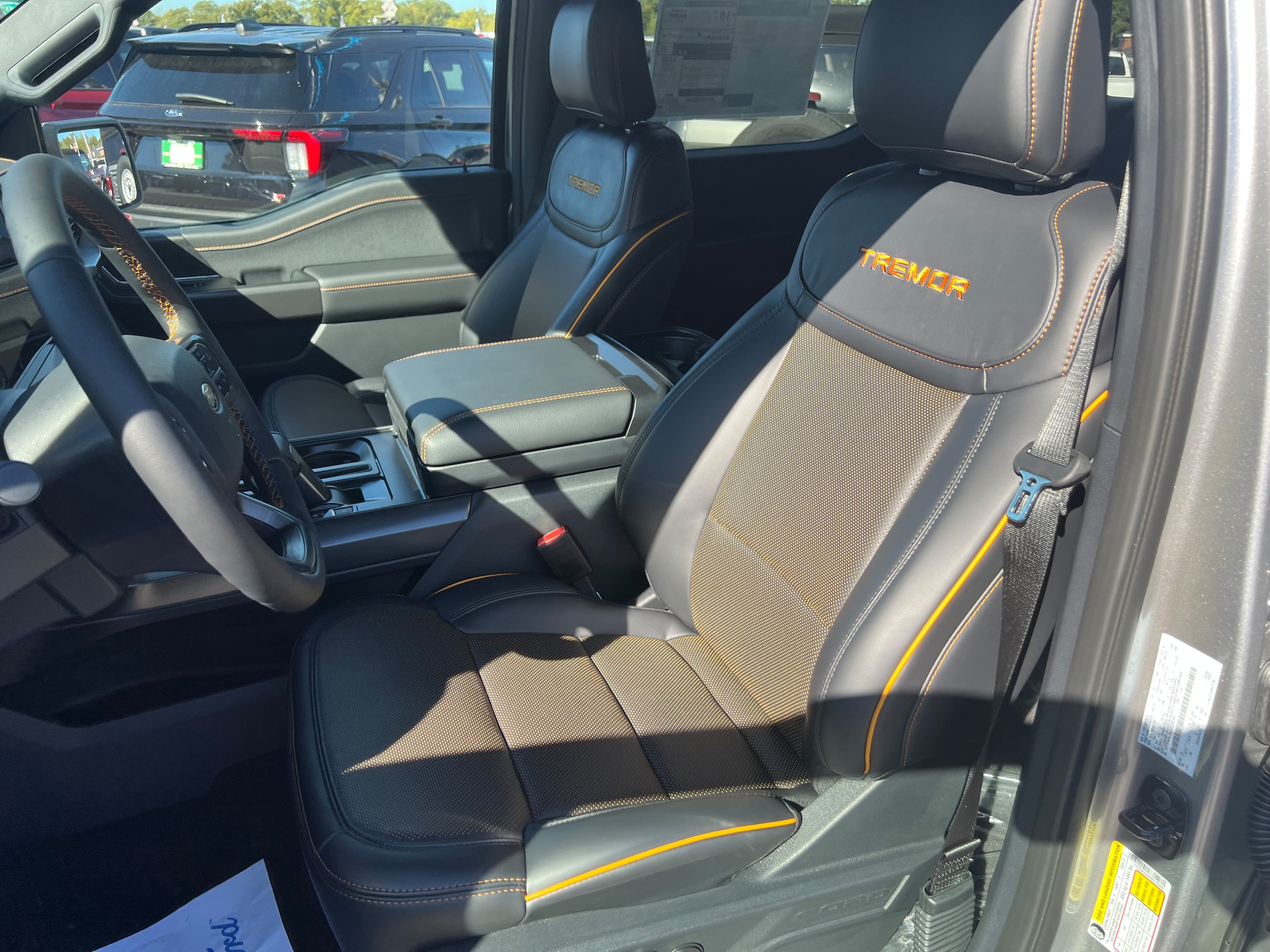 2025 Ford F-150 Tremor - Photo 9
