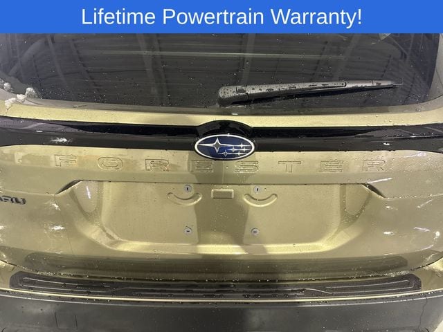 Thumbnail: 2026 Subaru Forester - 15