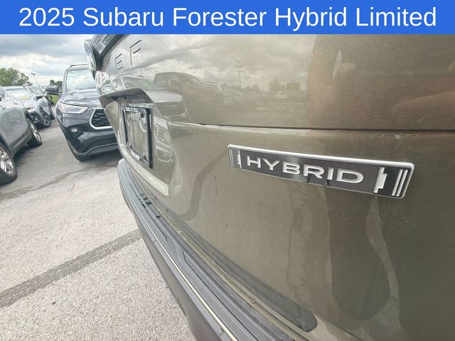 Thumbnail: 2025 Subaru Forester - 20