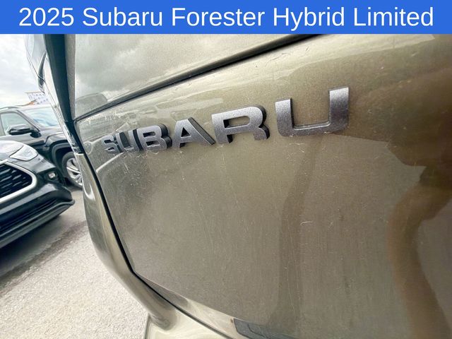Thumbnail: 2025 Subaru Forester - 17