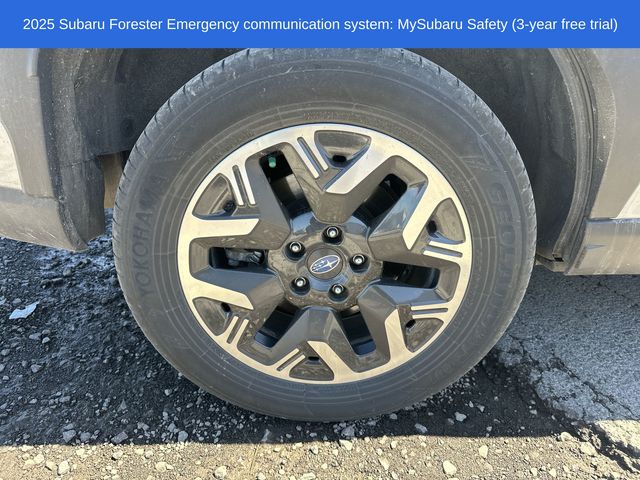 Thumbnail: 2025 Subaru Forester - 20