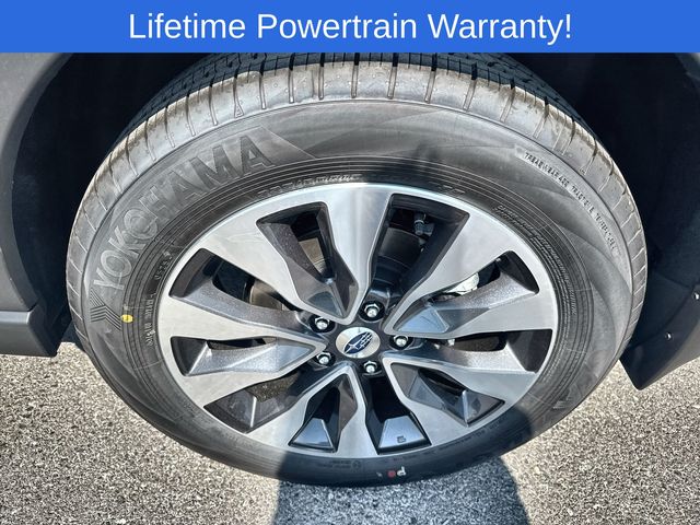 Thumbnail: 2025 Subaru Outback - 16