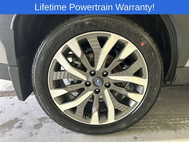 Thumbnail: 2026 Subaru Forester - 17