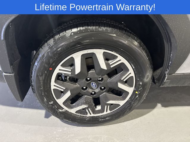 Thumbnail: 2026 Subaru Forester - 16