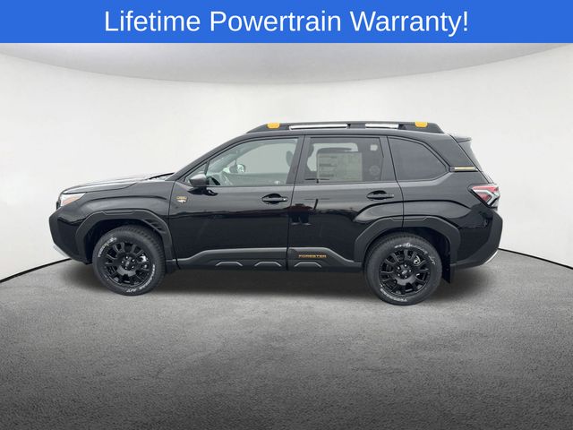 Thumbnail: 2026 Subaru Forester - 11