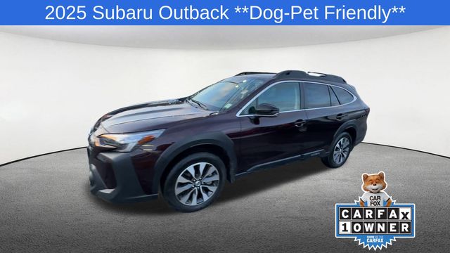Thumbnail: 2025 Subaru Outback - 4
