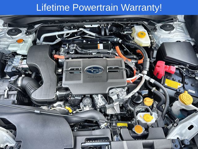 Thumbnail: 2025 Subaru Forester - 17