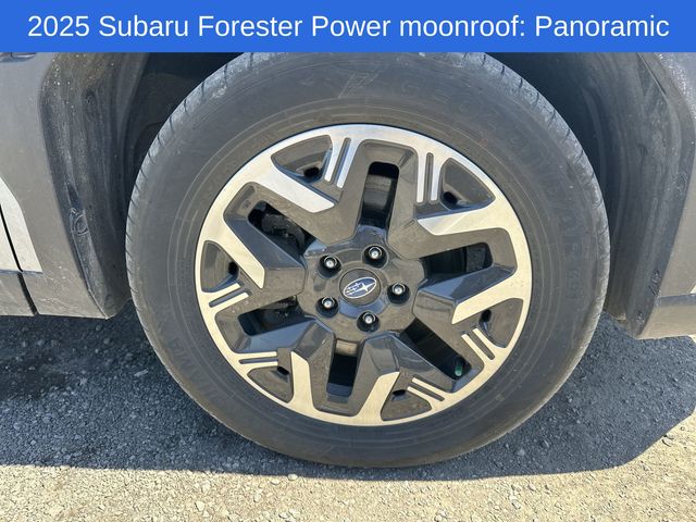 Thumbnail: 2025 Subaru Forester - 23