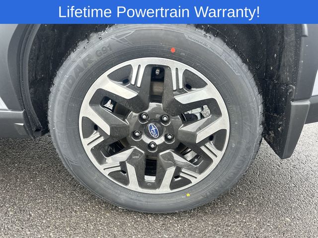 Thumbnail: 2026 Subaru Forester - 16