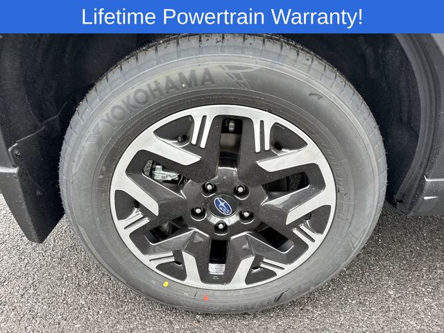 Thumbnail: 2026 Subaru Forester - 16