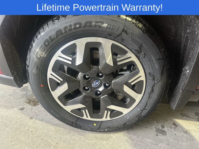 Thumbnail: 2026 Subaru Forester - 17