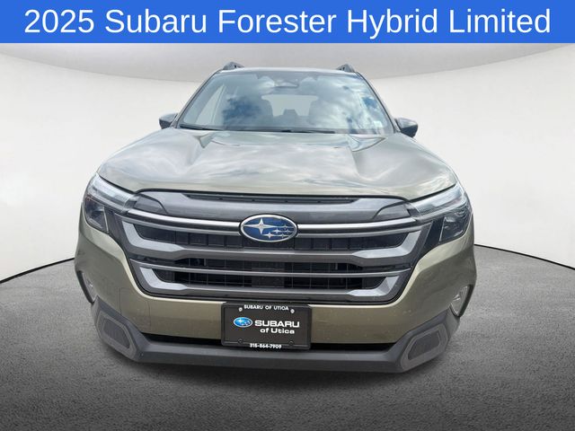 Thumbnail: 2025 Subaru Forester - 16