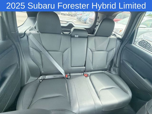 Thumbnail: 2025 Subaru Forester - 22