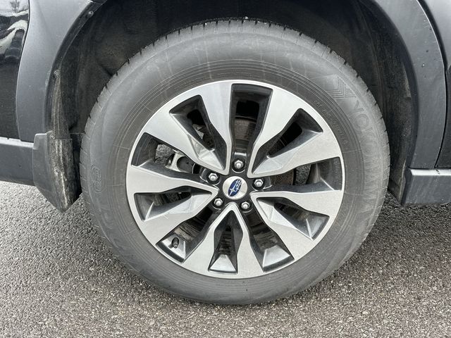 Thumbnail: 2025 Subaru Outback - 17
