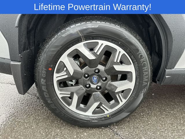 Thumbnail: 2026 Subaru Forester - 17