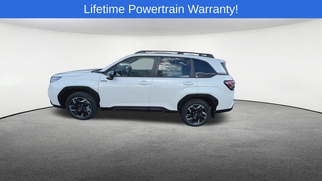 Thumbnail: 2025 Subaru Forester - 5