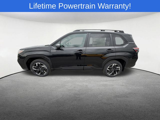 Thumbnail: 2026 Subaru Forester - 11