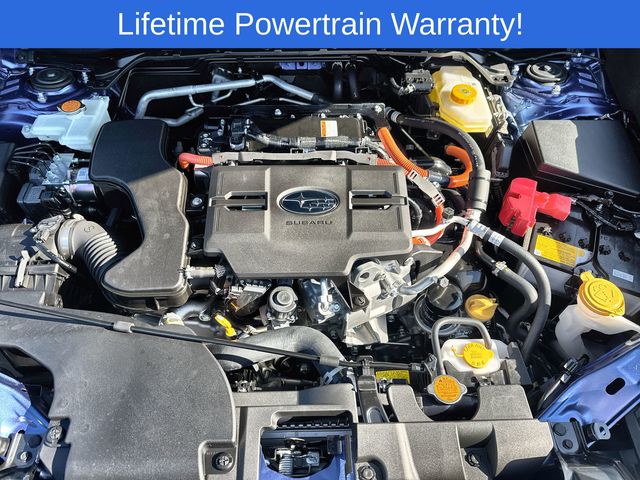 Thumbnail: 2025 Subaru Forester - 17